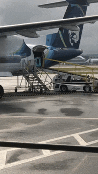 airplane dog crate GIF by Impact Dog Crates