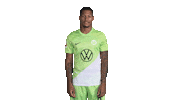 Football Lol Sticker by VfL Wolfsburg