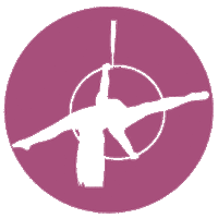 splits lyra Sticker by PhysiPole Studios