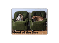 Relax Couch Sticker