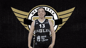 British Basketball GIF by Newcastle Eagles
