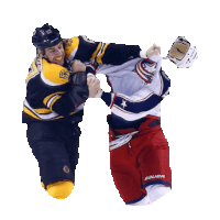 hockey nhl STICKER by imoji