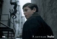 selina kyle gotham GIF by HULU