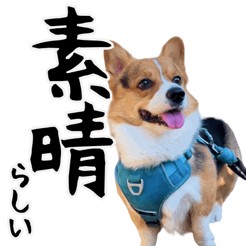 Corgi Wow Sticker