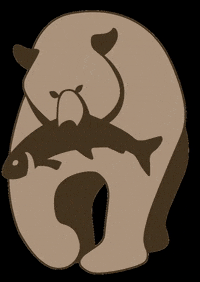 bozcabear bear bozcabear bozca GIF