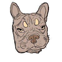 French Bulldog Dog Portrait Sticker