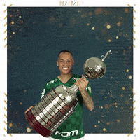 Soccer Futebol GIF by SE Palmeiras
