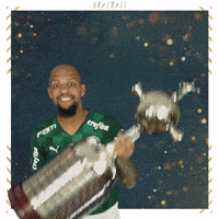 Soccer Futebol GIF by SE Palmeiras