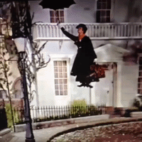 GIF by andymilonakis