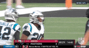 Carolina Panthers Football GIF by NFL