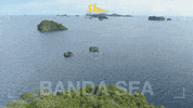Jakare_Liveaboard liveaboard alor jakare banda sea GIF