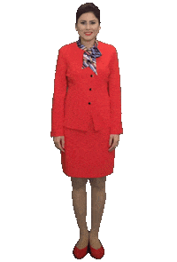 Welcome Aboard Cabin Crew Sticker by Pure Bhangra