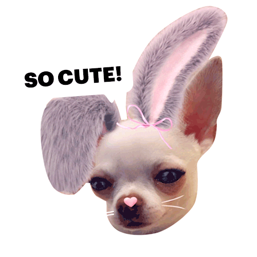 Cute Dog Sticker