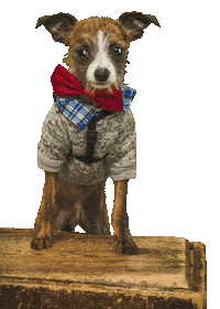 Monkey Dog Sticker by Bastian the Talking Terrier