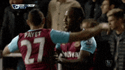 premier league soccer GIF by West Ham United