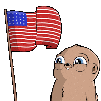 Independence Day Usa Sticker by Fugz Official
