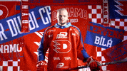 Hockeytown GIF by HC Dynamo Pardubice
