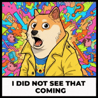 Shiba Inu What GIF by Doge Pound