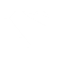 Vanda_designers heart design white cuore Sticker