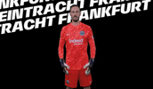 Happy Soccer GIF by Eintracht Frankfurt