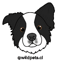 Wildpets dogs perros mascotas perritos Sticker
