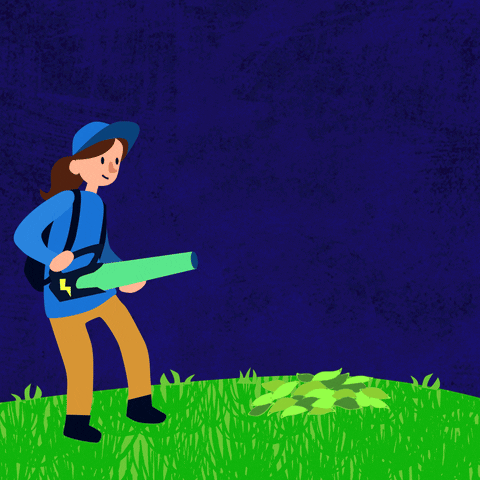 Renewable Energy GIF by INTO ACTION