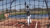 mkepanthers GIF by Kayla Schaffer