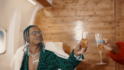 Private Jet Drinking GIF by Damez