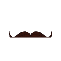 Cat Dog Sticker by Shelter Pet Project