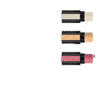 Makeup Highlighter Sticker by Renee Cosmetics