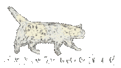 Cat Sticker