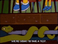 Season 3 School GIF by The Simpsons