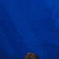 Byu Basketball Arm Fold GIF by BYU Cougars