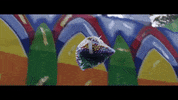 new orleans louisiana GIF