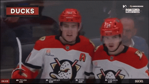 Anaheim Ducks Leo GIF