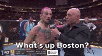 What's Up Boston