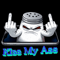 Over It Middle Finger GIF by SALT