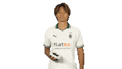 Borussia Monchengladbach Controller Sticker by Bundesliga