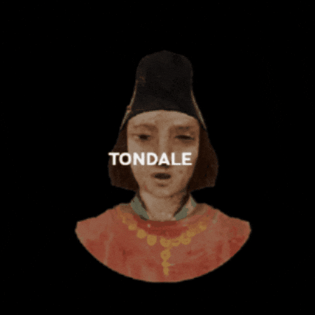 tondale giphygifmaker tondale visiondetondale GIF