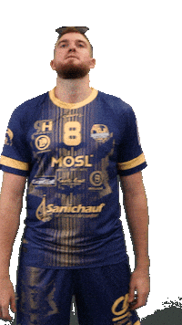 Proligue Capelle Sticker by SARREBOURG HANDBALL