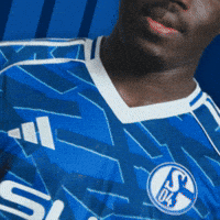 Football Soccer GIF by FC Schalke 04