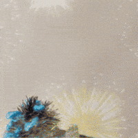 Happy New Year Fireworks GIF by TeaCosyFolk