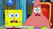 season 9 the fish bowl GIF by SpongeBob SquarePants