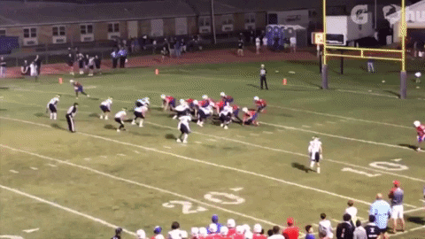 bson1011 giphygifmaker GIF