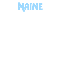 Election 2020 Portland Sticker by Creative Courage