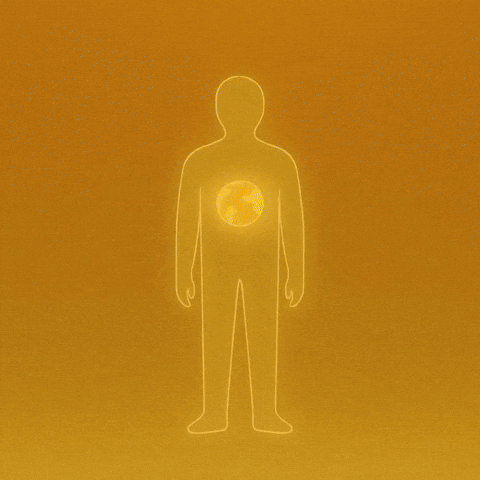 World Earth GIF by WeQuorum