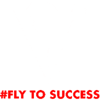 Ski Success Sticker by Vola Racing