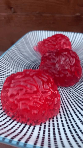 megendebruin-mol giphygifmaker brain jelly jell-o GIF