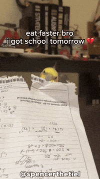 Instagram School GIF