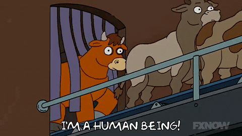 Episode 17 GIF by The Simpsons